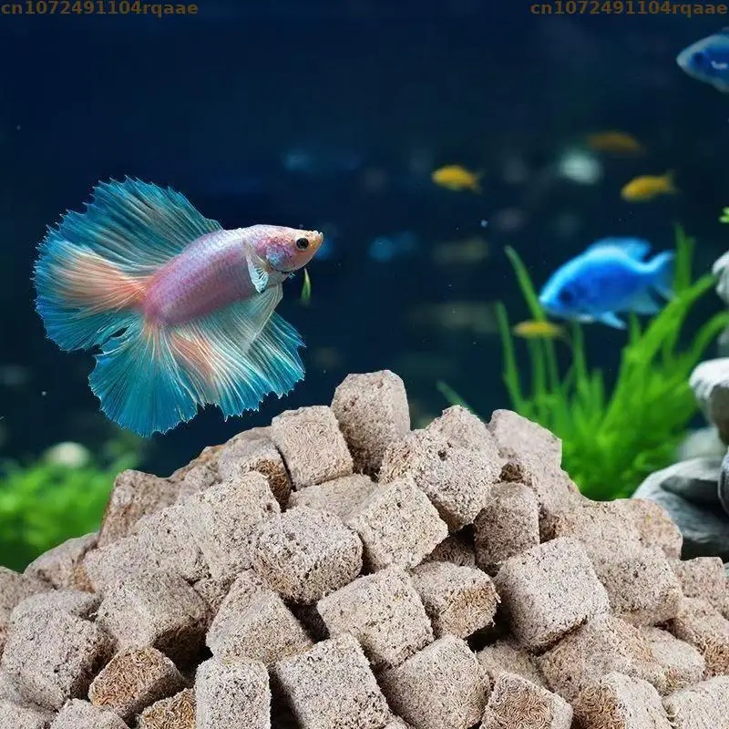 자연 건조 냉동 건조 혈벌레 큐브 투비펙스 웜 고단백  - Marine Aquarium Cube 리뷰 및 가격