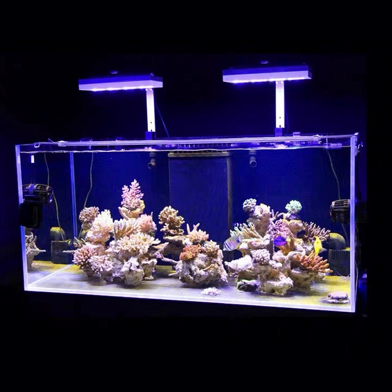 아쿠아 일루미네이션 AI 하이드라 32HD/64HD 리 - Marine Coral 리뷰 및 가격
